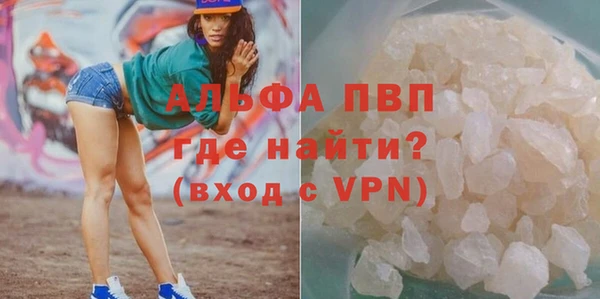 индика Балабаново