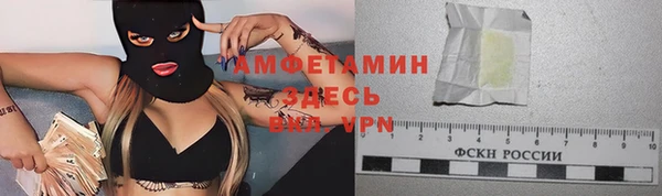 индика Балабаново