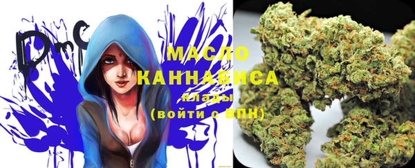 индика Балабаново
