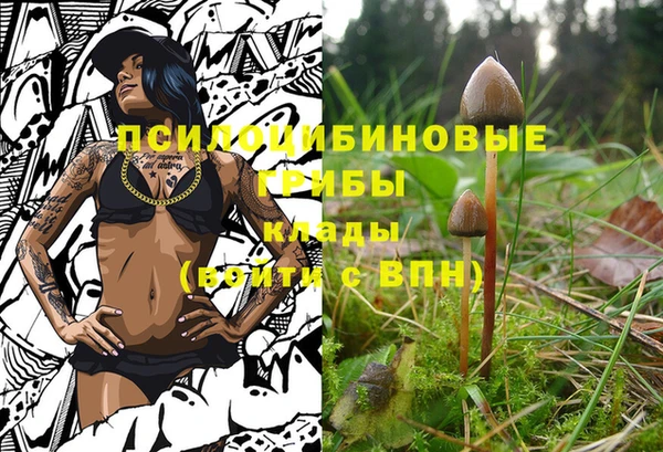 гашик Баксан
