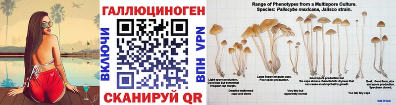 Галлюциногенные грибы Cubensis  Астрахань 